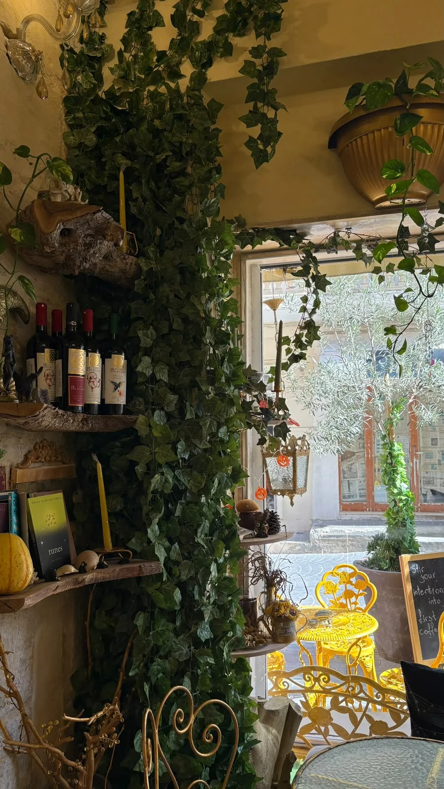 Serendipity Café interior with greenery, sunlight and golden seating